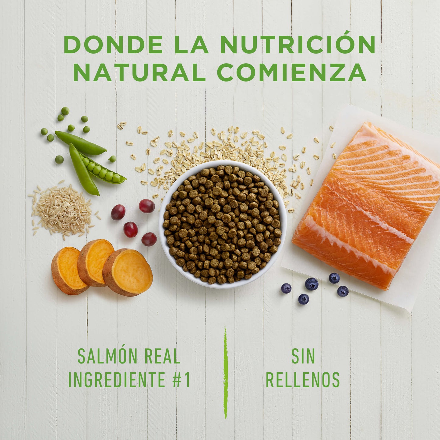 Instinct Be Natural Salmón - Para Perros