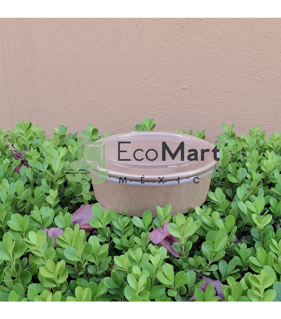 Muestras ecológicas a domicilio