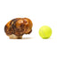 Jumbo Jawbreaker Petstar de Res para Perros
