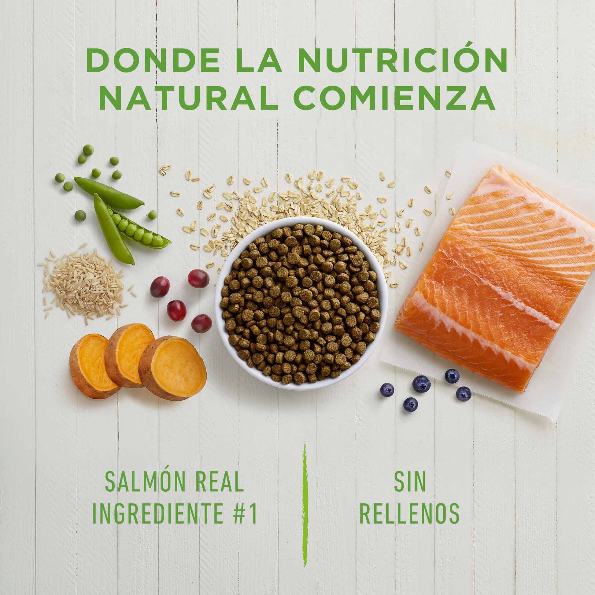 Instinct Be Natural Salmón - Para Perros