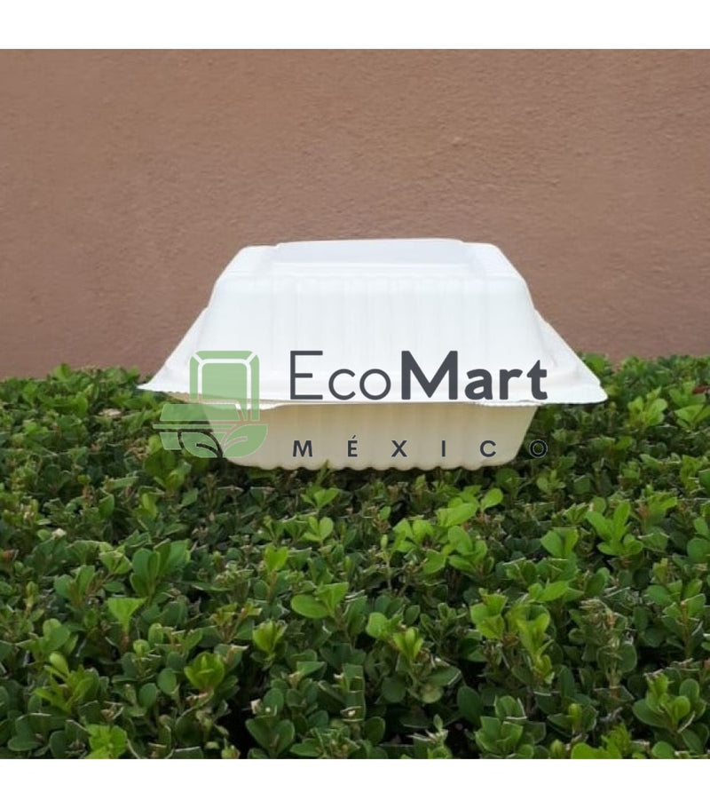 Almeja Natural 6X6 - Eco Mart Mexico