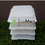 Almeja Natural 8X8 - Eco Mart Mexico